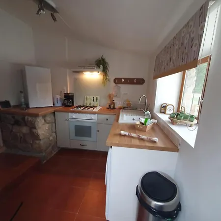 Ferienhaus Rosemarie's Den *